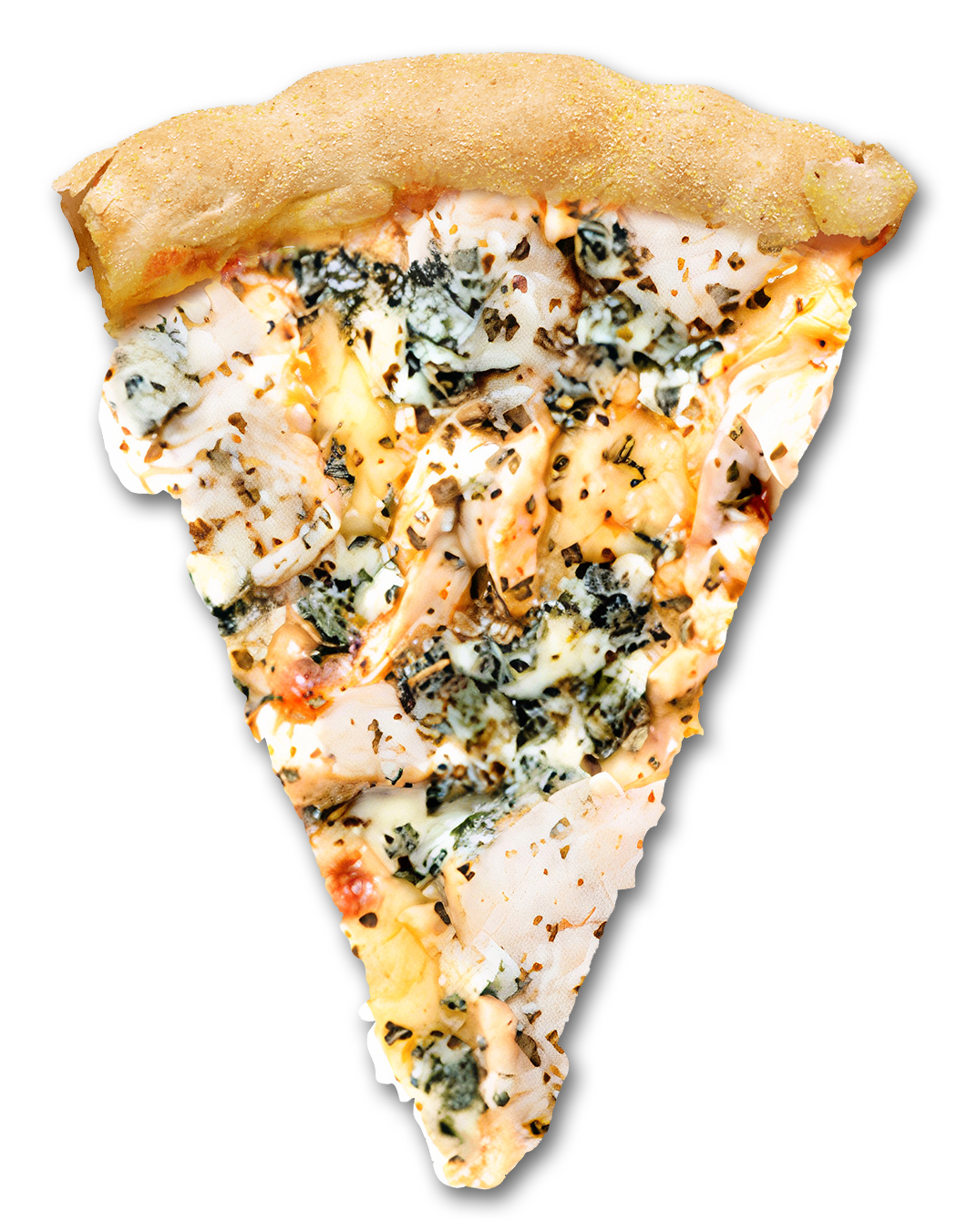 Pizza croustillante en livraison &agrave;  Saint Germain Les Arpajon